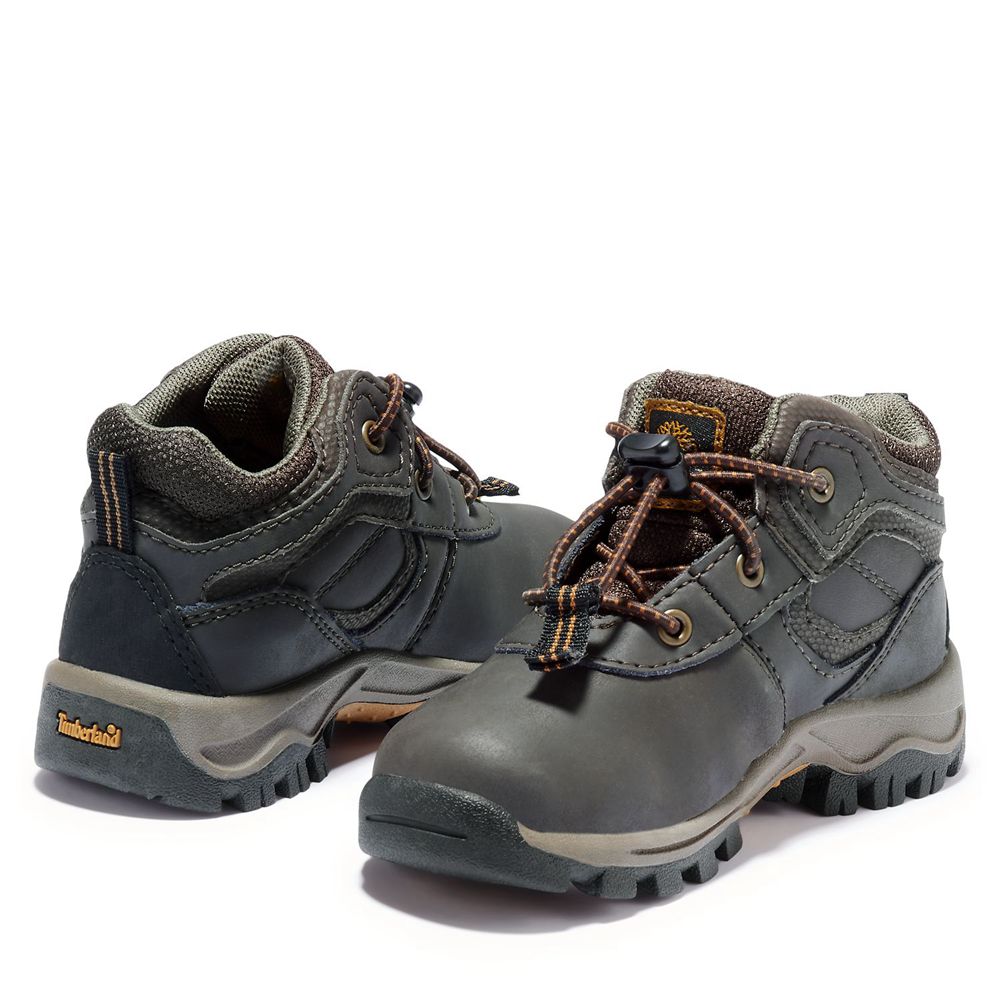 Botas de Montaña Timberland Niños Toddler Mt. Maddsen Waterproof Marrones - Chile LEJ-917348